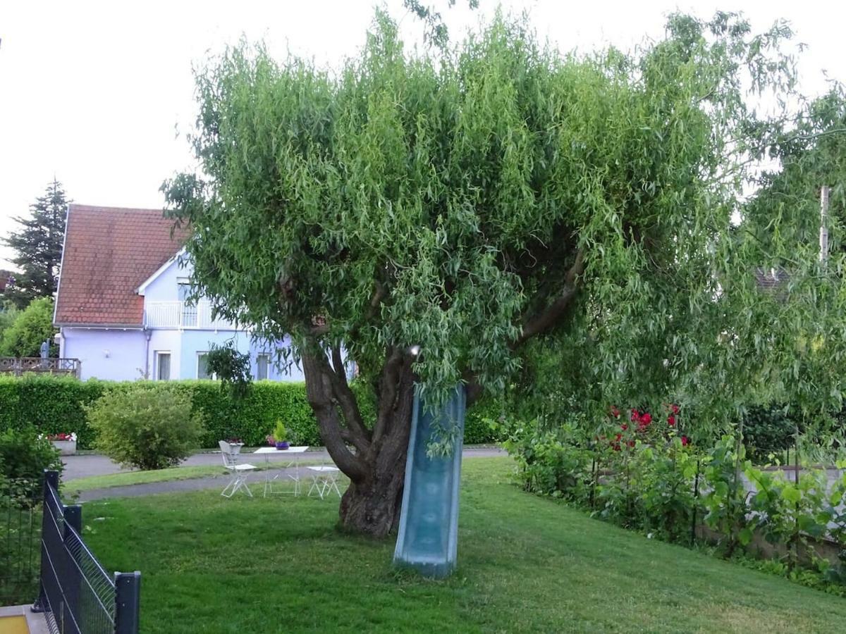 Вилла Tiny-House Wihr-au-Val Экстерьер фото